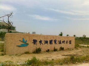 衡水橡膠城 衡水橡膠城