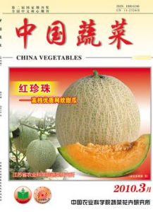 中國蔬菜 中國蔬菜