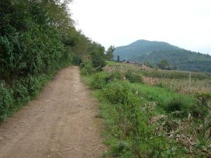 白路河自然村 白路河自然村