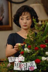 《善良女人白日紅》