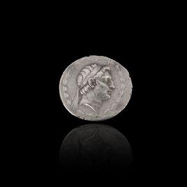 德米特里[馬其頓王國安提柯王朝國王]