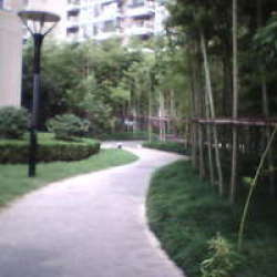 清竹園小區 清竹園小區