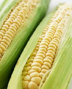 高纖維食品 高纖維食品