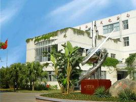 珠光國小 珠光國小