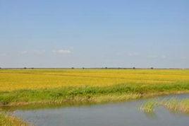 哈拉海農場 哈拉海農場