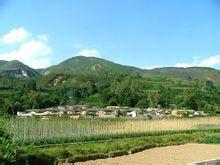 高埂村[雲南建水縣曲江鎮下轄村]