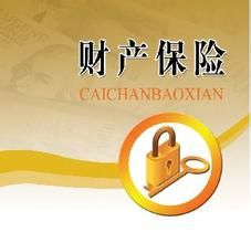 財產保險綜合險