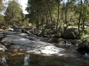 歇馬村[遼寧省莊河市太平嶺鄉下轄村]