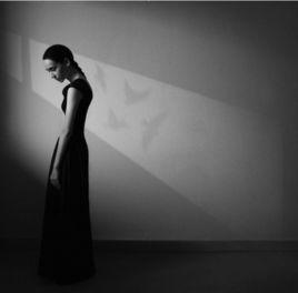 偏見理論 偏見理論