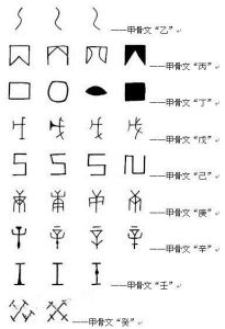 天干甲骨文