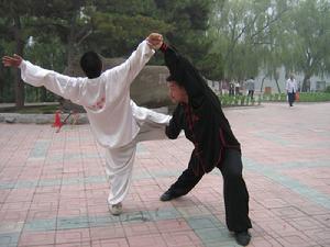 少北武術綱要 少北武術綱要