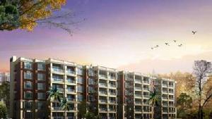 申亞瑞庭 申亞瑞庭