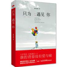 只為遇見你[那年落漁：只為遇見你]