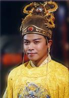 《熱血忠魂之獨行侍衛》