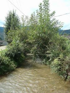 來鳳自然村 來鳳自然村