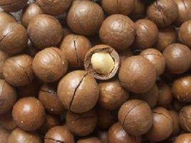 火山豆[夏威夷果]