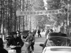 荒湖農場 荒湖農場