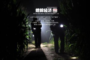 蟋蟀經濟 蟋蟀經濟