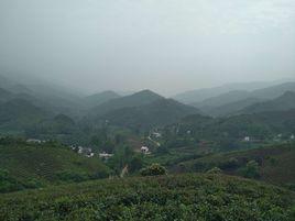 豐家沖村 豐家沖村