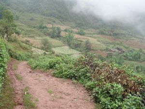 杉松坡自然村 杉松坡自然村