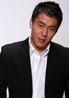 梅艷芳菲[2007年趙寶剛執導電視劇]