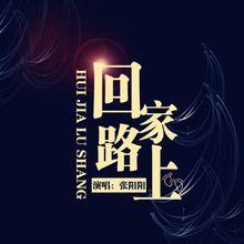 張陽陽-回家路上