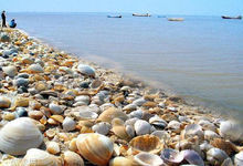 渤海貝殼堤島與濕地國家級自然保護區