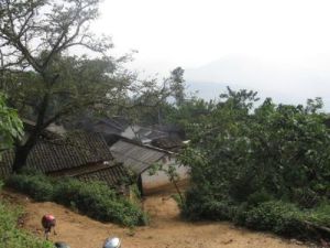 陶家自然村 陶家自然村