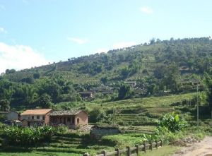 迤大壩自然村 迤大壩自然村