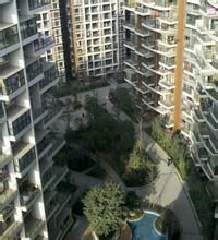 南坡社區 南坡社區