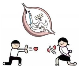 母胎solo 母胎solo