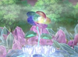 彩虹之花 彩虹之花