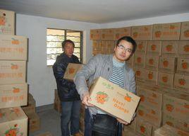 華科臍橙哥 華科臍橙哥