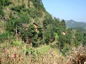 上核桃灣自然村 上核桃灣自然村