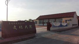 東興村[黑龍江齊齊哈爾市泰來縣大興鎮下轄村]