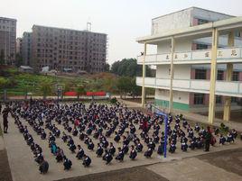 高新三小 高新三小