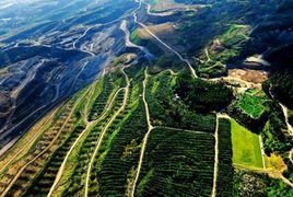 礦山土地復墾 礦山土地復墾