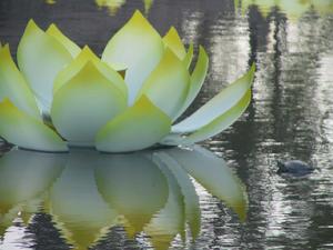 蓮花寶座 蓮花寶座