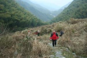 百步嶺村 百步嶺村