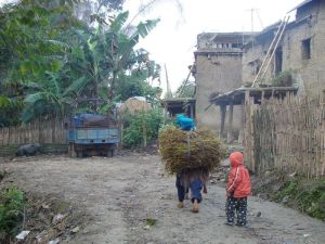 果期小寨村 果期小寨村