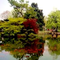 花港觀魚 花港觀魚