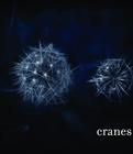 cranes cranes