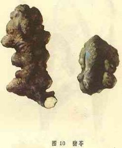 甘露解毒湯 甘露解毒湯