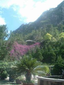 西華公園 西華公園