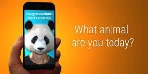 動物圖片 動物圖片