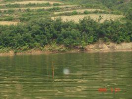 石板水庫 石板水庫