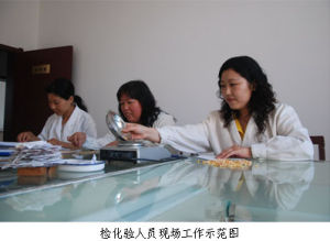 中央儲備糧天津大港直屬庫