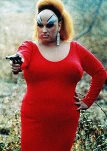 粉紅的火烈鳥 粉紅的火烈鳥