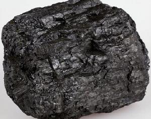 煤岩顯微組分 煤岩顯微組分