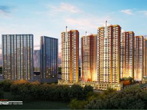 國信宜和 國信宜和